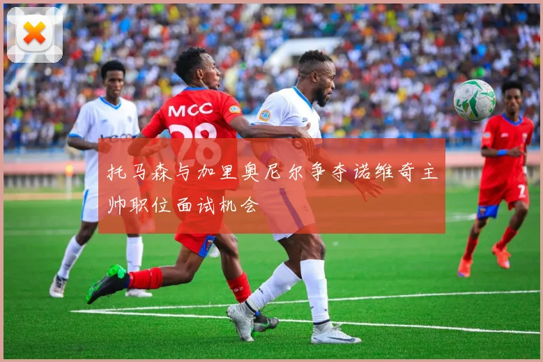 托马森与加里奥尼尔争夺诺维奇主帅职位面试机会