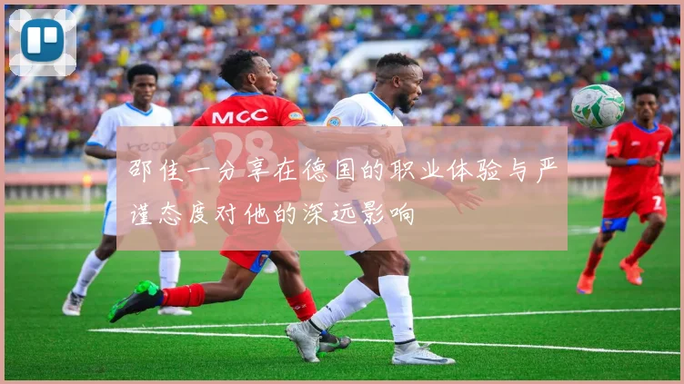 邵佳一分享在德国的职业体验与严谨态度对他的深远影响