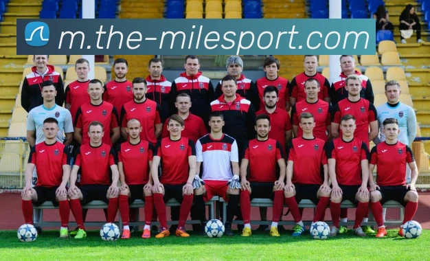 米乐体育平台生态图