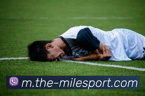 米乐体育APP 封面图